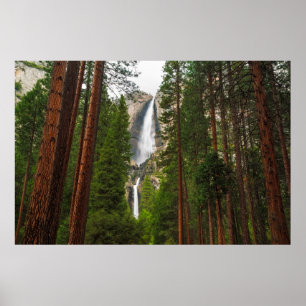 Póster Yosemite cae por el bosque