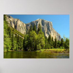 Póster Yosemite de la planta del valle, Sierra Nevada