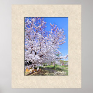 Póster Yoshino Cherry