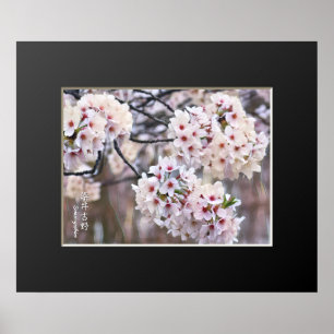 Póster Yoshino Cherry
