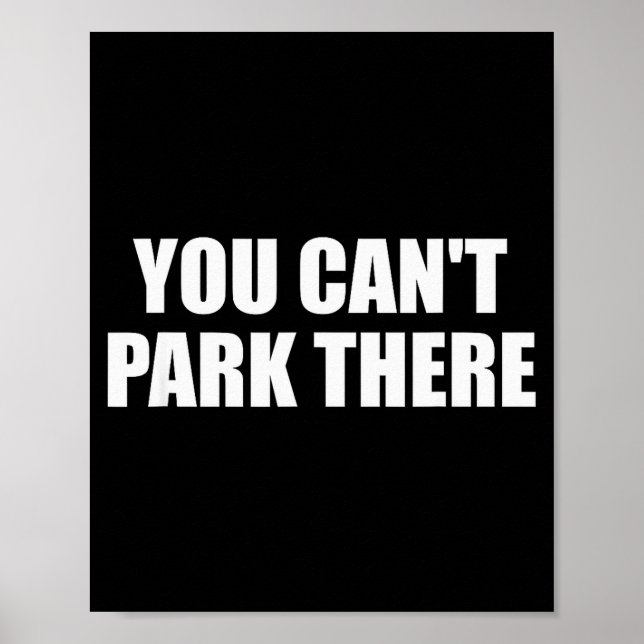 Póster You Cant Park There Funny Viral Car Meme Sarcasm M (Frente)