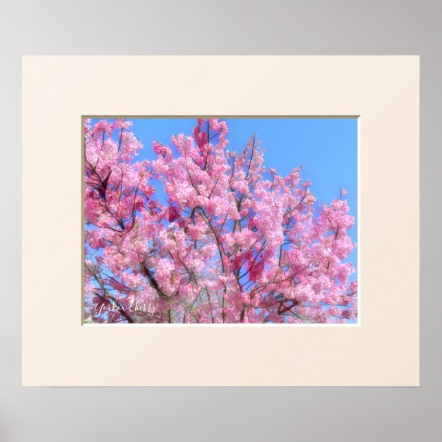 Póster Youkou Cherry (Frente)