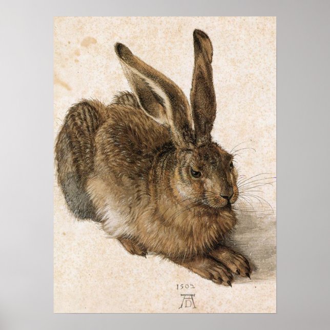 Póster 'Young Hare' (Frente)