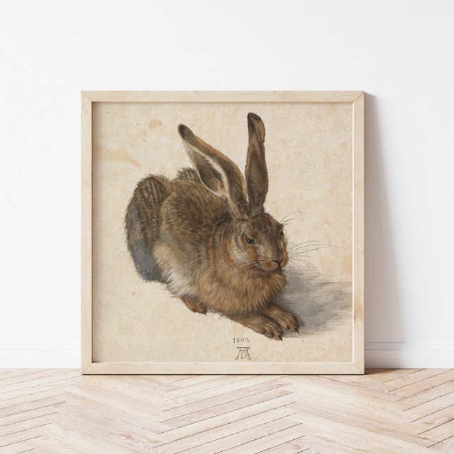 Póster Young Hare | Albrecht Dürer (Subido por el creador)