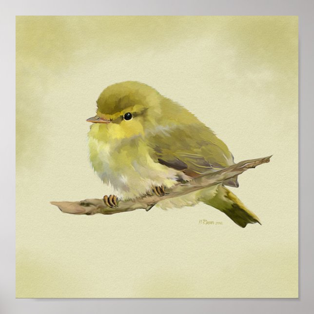 Póster Young Wood Warbler (Frente)
