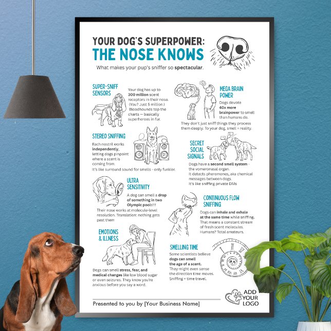 Póster Your Dog’s Superpower - The nose knows  (Subido por el creador)