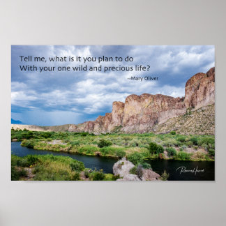 Póster Your One Wild and Precious Life