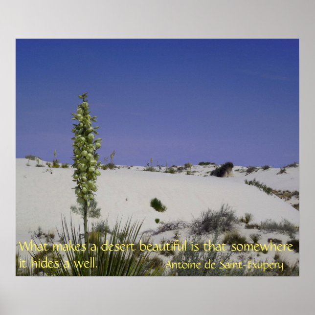 Póster Yucca (Frente)