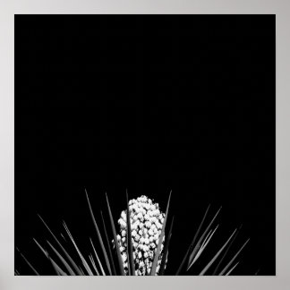 Póster Yucca en blanco y negro por LLR