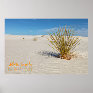 Póster Yucca en White Sands