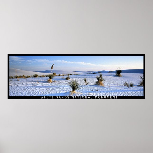 Póster Yucca Panorama (Frente)