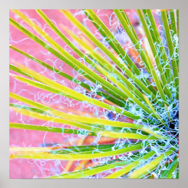 Póster Yucca psicodélica (Frente)