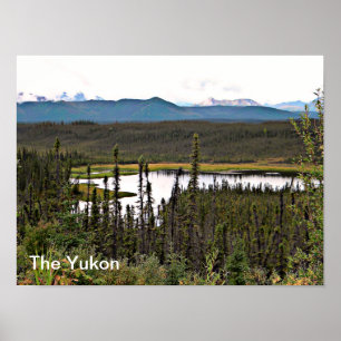 Póster Yukon Pond