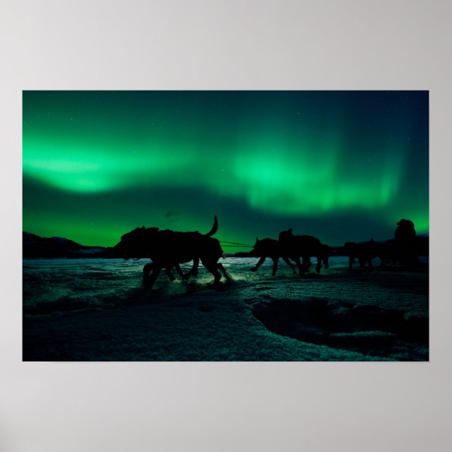 Póster Yukon Quest Magic (Frente)