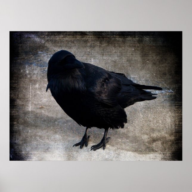 Póster Yukon Raven Grunge (Frente)