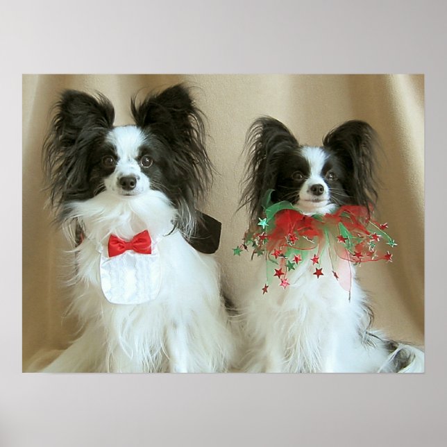 Póster ZACH nab CLAIRE (Frente)