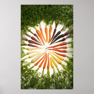 Póster Zanahorias de muchos colores en lienzo