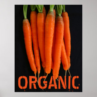 Póster Zanahorias frescas del jardín
