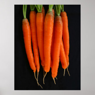 Póster Zanahorias frescas del jardín
