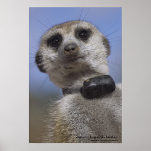 Póster Zaphod - Rey del Poster Kalahari
