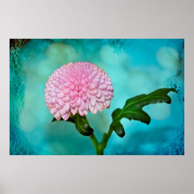 Póster Zauberhafte Blüte (Frente)