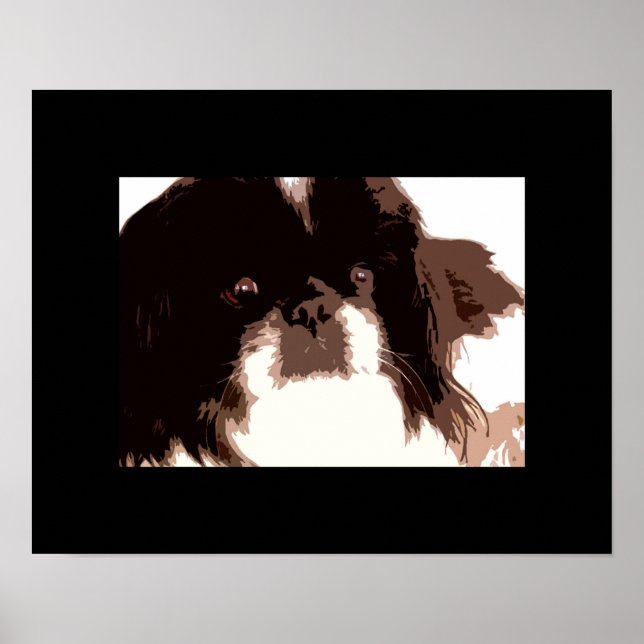 Póster ZaZa (Frente)