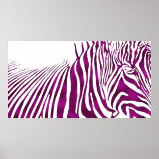 PÓSTER ZEBRA