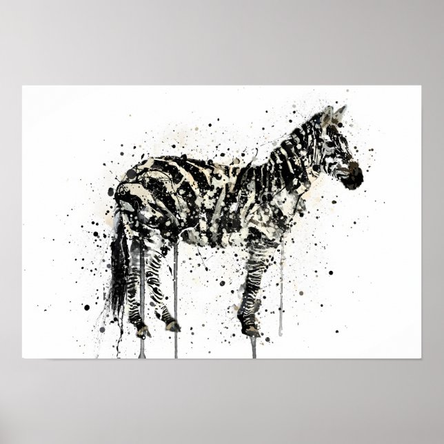 Póster  Zebra (Frente)