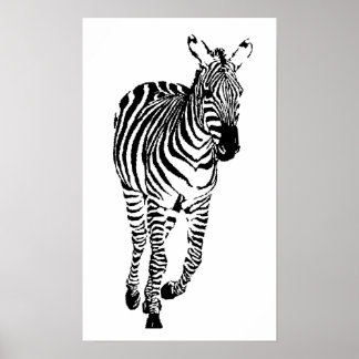 Póster Zebra