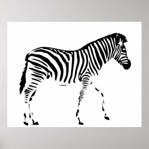 Póster Zebra