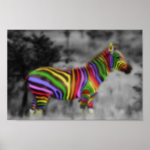 Póster Zebra arcoiris
