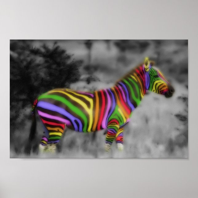 Póster Zebra arcoiris (Frente)
