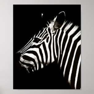 Póster Zebra Black and White Stristris Animal