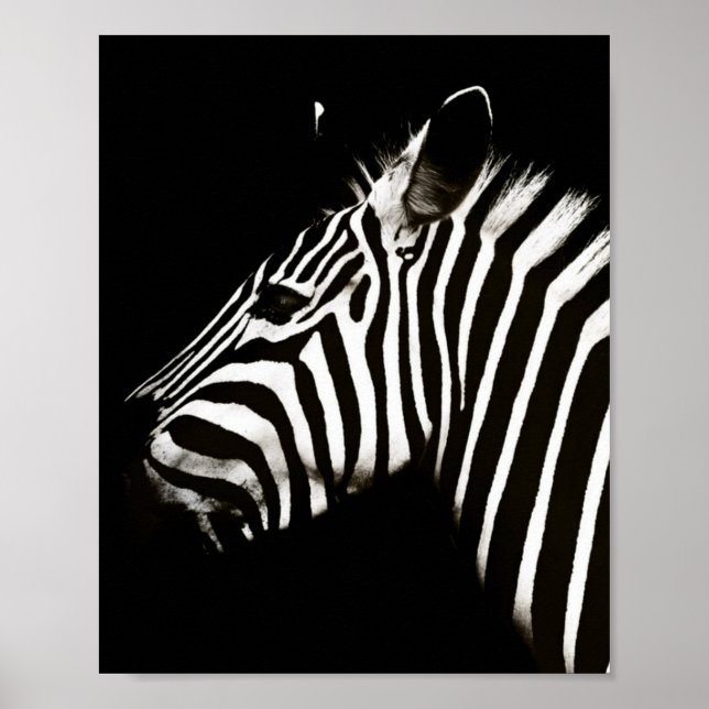 Póster Zebra Black and White Stristris Animal (Frente)