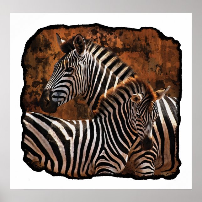 Póster Zebra Caída Trazos GRANDES poster, papel impreso,  (Frente)