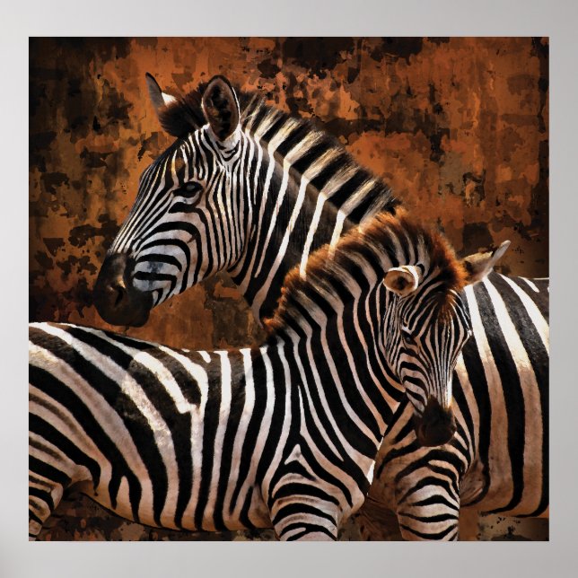 Póster Zebra Caída Trazos GRANDES poster, papel impreso,  (Frente)