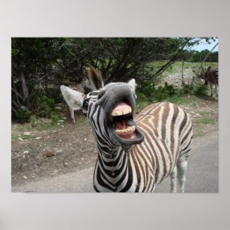 Póster zebra de chezzy
