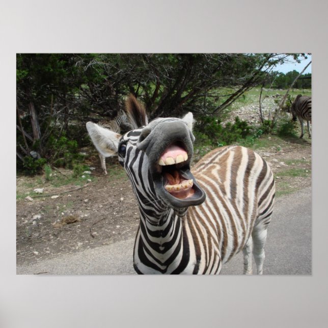 Póster zebra de chezzy (Frente)