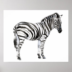 Póster Zebra permanente
