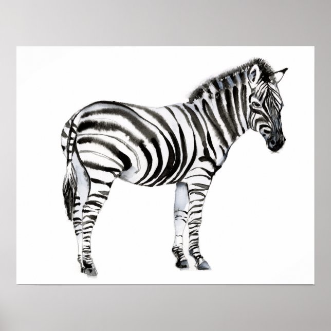 Póster Zebra permanente (Frente)