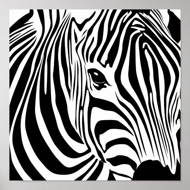 Póster Zebra Poster (Frente)