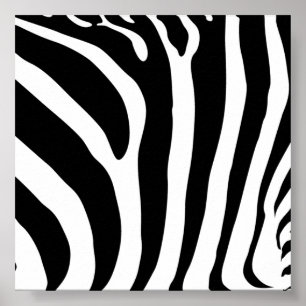 Póster Zebra Print Poster