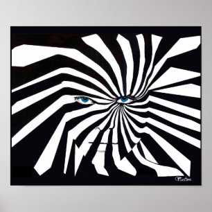 Póster Zebraman poster