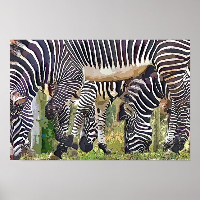 PÓSTER ZEBRAS (Frente)