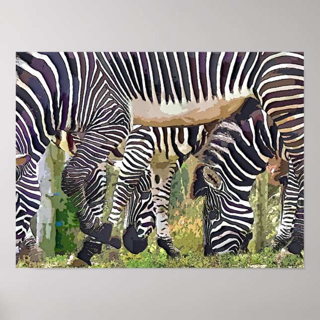PÓSTER ZEBRAS (Frente)