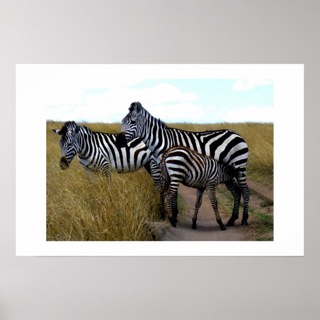 PÓSTER ZEBRAS Y BEBÉ (Frente)