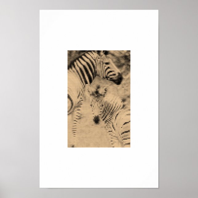 Póster Zebrix (Frente)