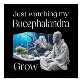 Póster Zen and Bucephalandra – The Art of Aquascaping