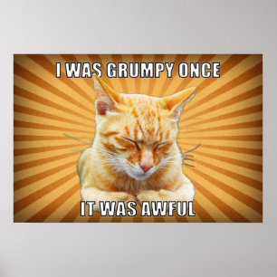 Póster Zen Cat Poster