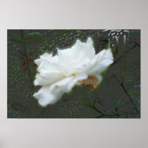Póster Zen Flower